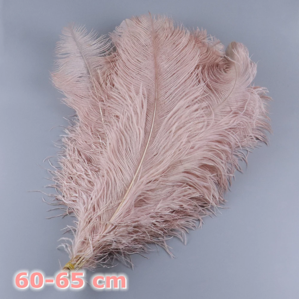  10/100pcs 30-35cm Ostrich Feathers,Fluffy Pink Ostrich Plume  Feathers For Vase Decoration Wedding Party Supplies Natural Ostrich Plume  Crafts Ostrich Feathers ( Color : Leather pink , Size : 10PCS ) 