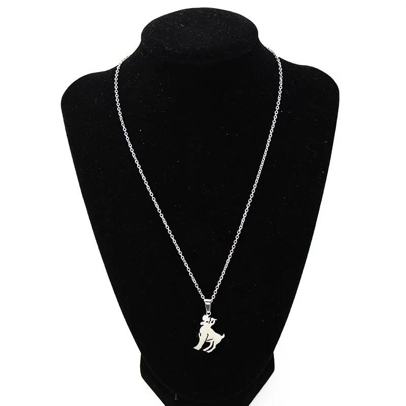 8108298132_302145050