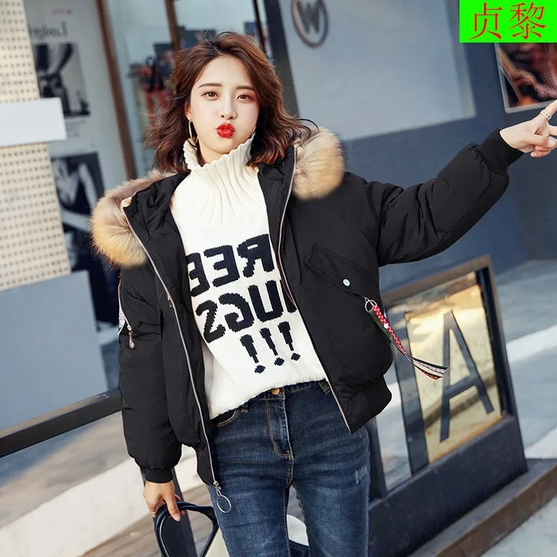 

2018 Winter New Style WOMEN'S Dress Short down Coat down Jacket Cotton-padded Clothes Korean-style Versitile Fashion Small Cotto