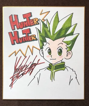 

hand drawn Togashi Yoshihiro Shikishi Card Art Board YuYu Hakusho signed 11F