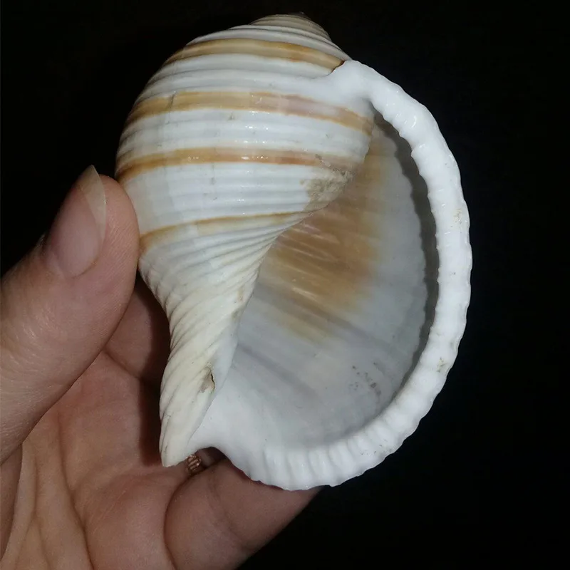 02597985e9bcc074fa44bdd7a0501355d5fc8355_original