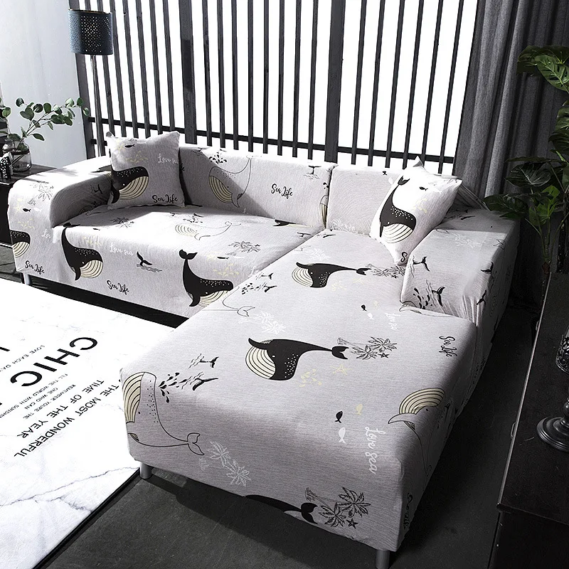 12372361653_1564337021