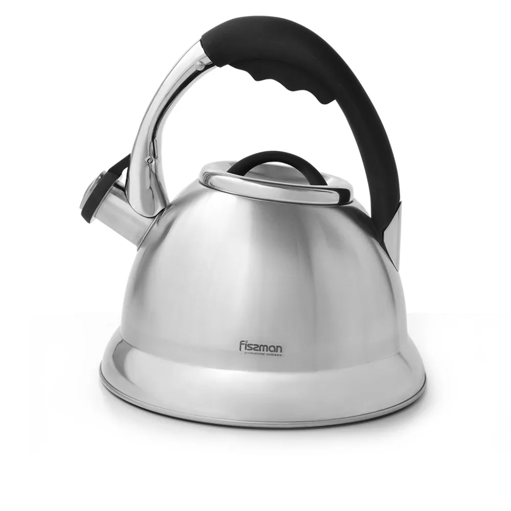 2.6L tea kettle whistle coffee maker stainless steel induction kettle