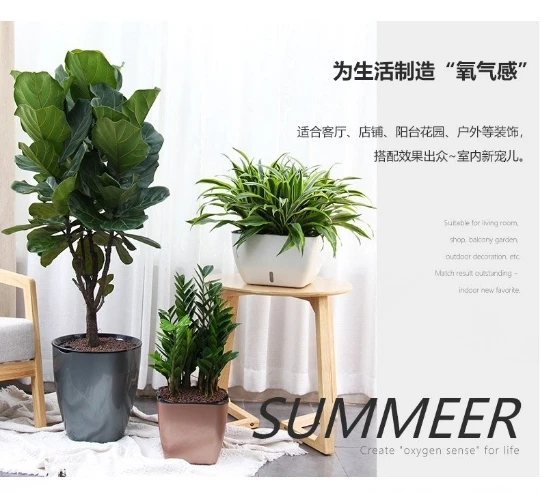 Since Water Uptake Imitation Metal Thickening Fruit Tree Large Botany Green Basket Get Rich Tree Flowerpot Deepen Oversize