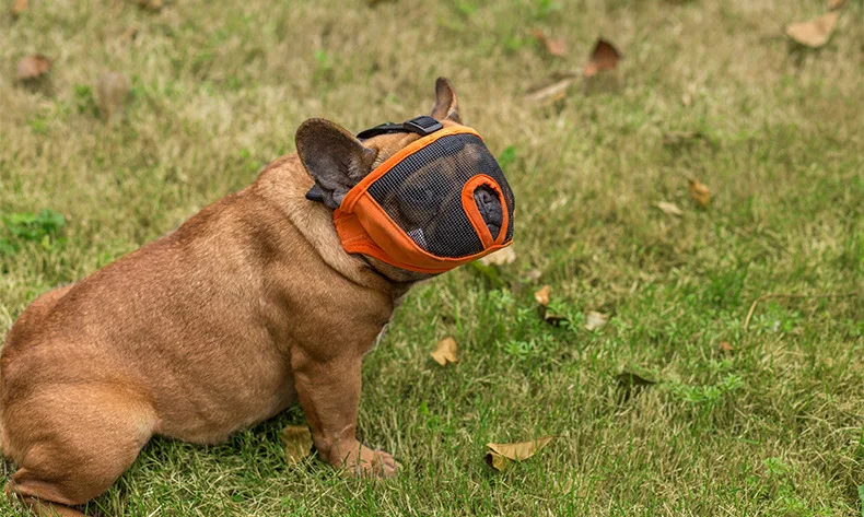 Hc87378300ac84c899f849db0105c9afcB