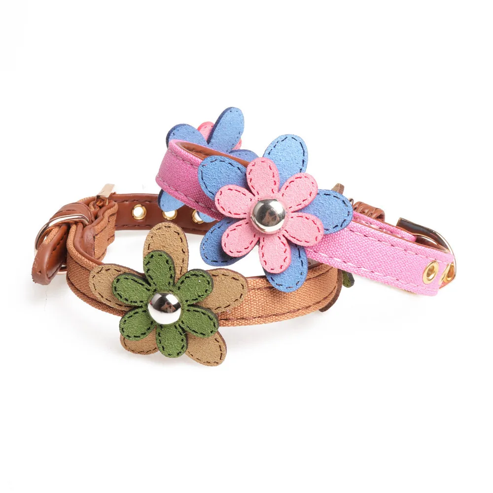 9087419579_307791824