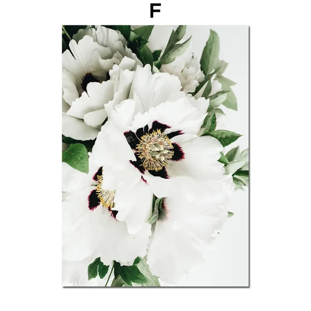 Aloe Succulents Monstera Green Plant Art Nordic Posters And Prints Wall Art Canvas Painting Wall Pictures For Living Room Decor F