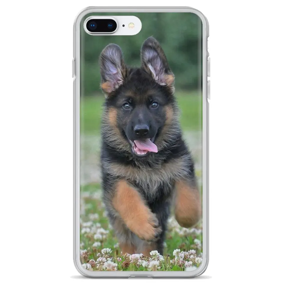 sable shepherd puppies