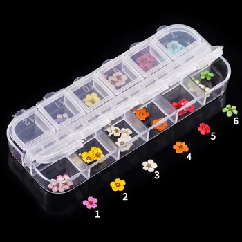 

1 PC Nail disc 12-color five-petal dried flower small box disc/three-dimensional dried flower/nail ornaments 24 pieces CC102