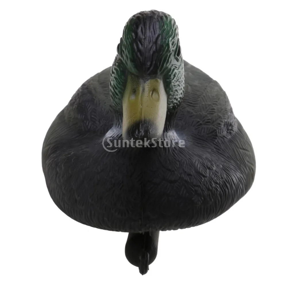 suntekstore1472888670_54012073_7_image