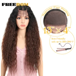 FREEDOM Synthetic Lace Front Wigs For Black Women Long Kinky Curly Lace Front Wig With Baby Hair Natural Free Part Ombre Wig