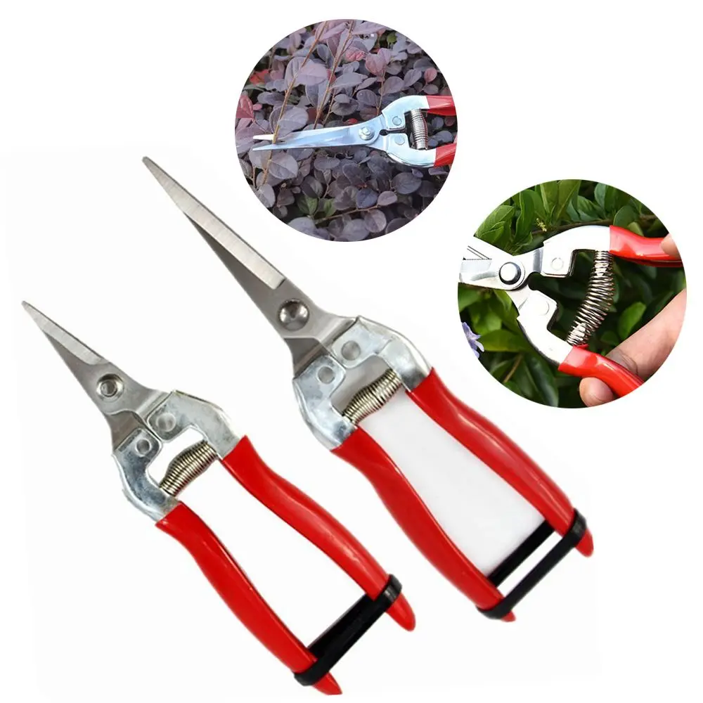 Garden Scissors Pruning Shears Garden Tools Garden Pruner Anti-slip Pruner Micro-Tip Pruning Snips Leaf Trimmer Straight Scissor Plant Tool