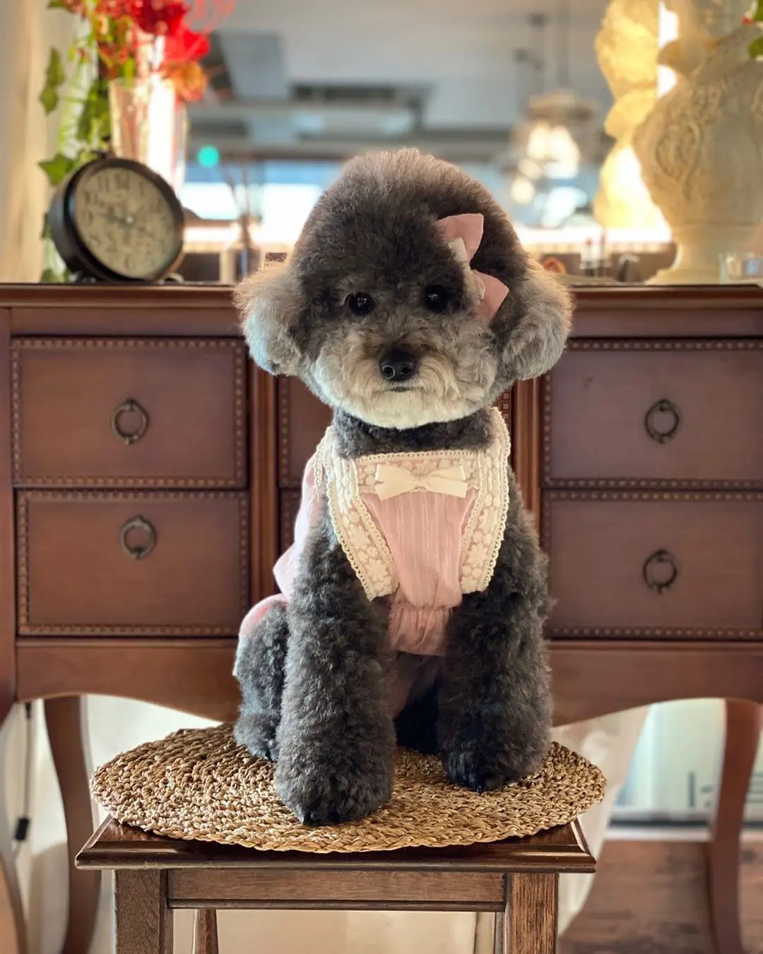 Summer Dog Dress Puppy Clothing Lace Sling Dog Dress For Small Dogs Girl Spring Skirt Bichon Teddy Pet Wedding Skirt