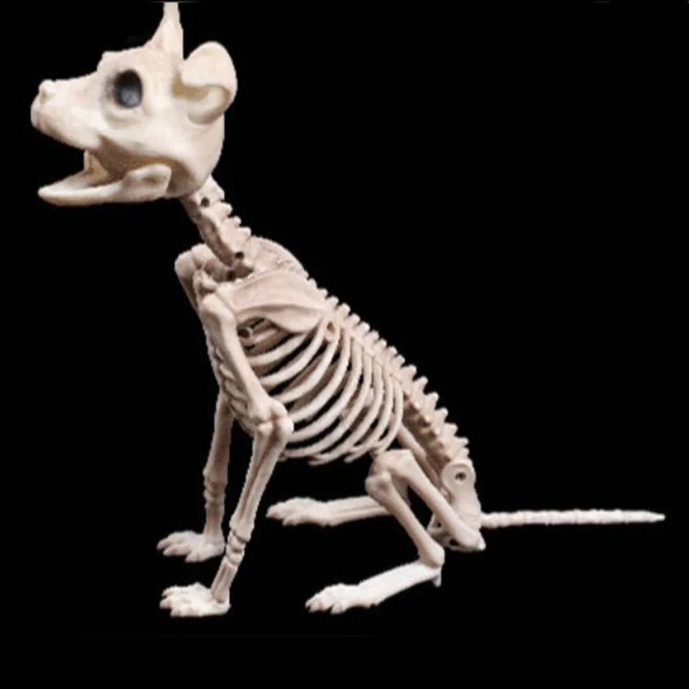 Пластиковый скелет животного змея/собака/кошка/паук/рыба/Птица/лягушка/Gecko скелет кости для Хэллоуина бар украшения коллекция Статуэтка
