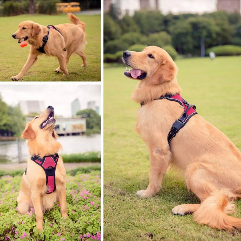 Мягкая одежда для домашних животных износостойкий защитный жилет для тренировок на открытом воздухе светоотражающий тянущийся канат регулируемый поводок для собак дышащий