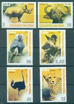 

Cuba 2009 "animals of the Havana zoo" MLH