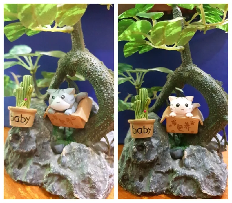 小猫a (7)