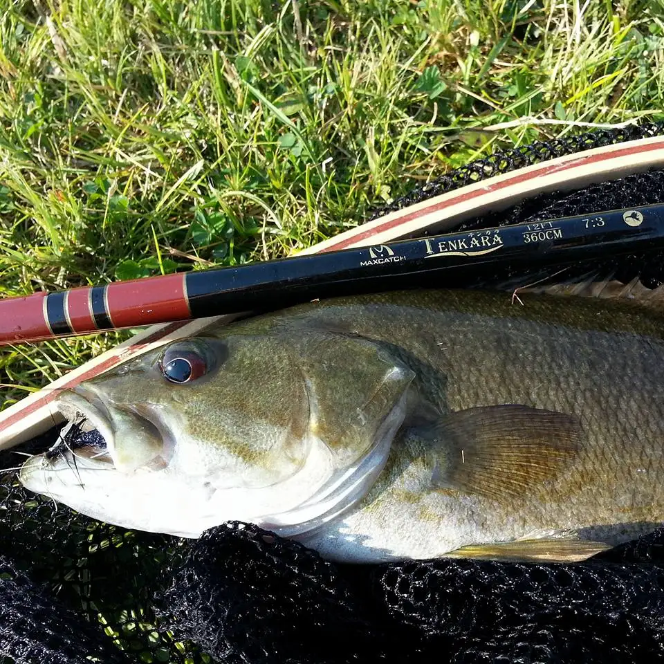 20840986_10155681587393385_1875969995296094648_n