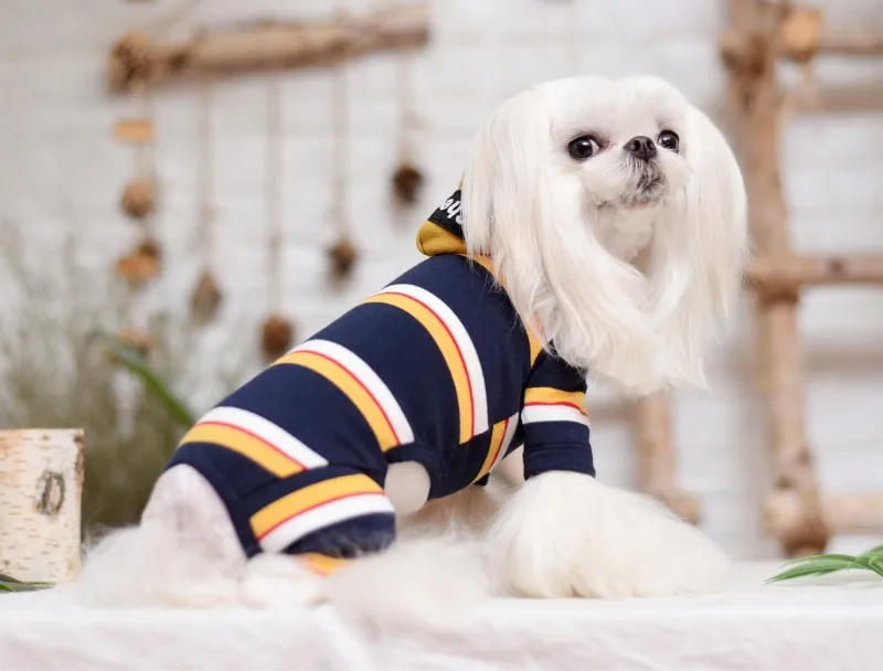 puppies hoodies dog clothes winter autumn wear (12)