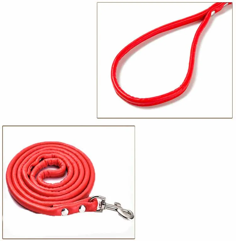 9682693933_423646838