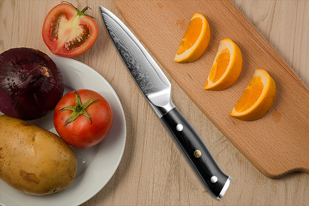 HTB1synLb8Kw3KVjSZTEq6AuRpXaN