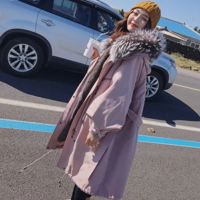 Retro pink Ветрозащитная теплая парка женская утепленная плюс бархатная подкладка Длинная парка женский пуховик с воротником из меха енота теплая зимняя куртка - Цвет: Retro pink