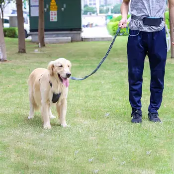 

Pet Dog Leash with Waist Bag Pouch Cushioning Pet Leash for Walking Running
