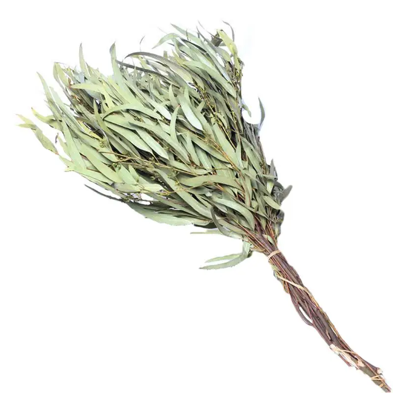 1 Bunch Eucalyptus Leaves Willow Dry Flower Bouquet Office Home Decoration Flower Material Handmade Flower DIY Accessories