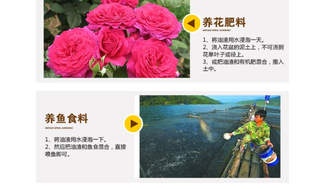 QQ图片20191107004556