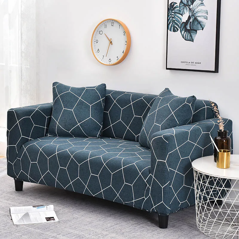 DSC_7139立派摄影 (3)