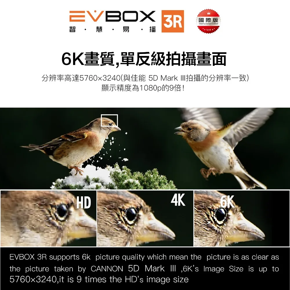 EVPAD EVBOX 3R EVPAD 3 R tv Box 2G+ 16G 2,4G wifi Бесплатный ТВ в Сингапуре/США/Малайзии/HK, TW, Корее, Японии, Таиланде/Индонезии