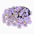 Darkpurple daisy