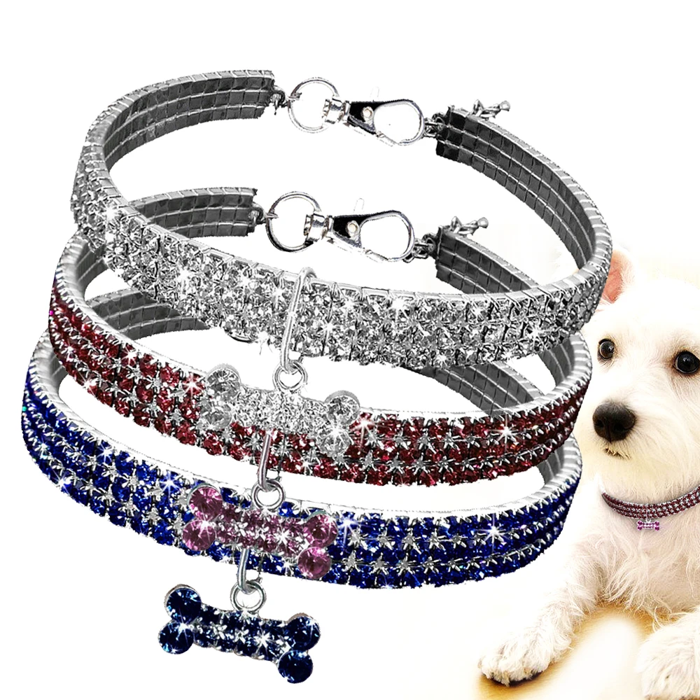 Puppy neck band Clearance