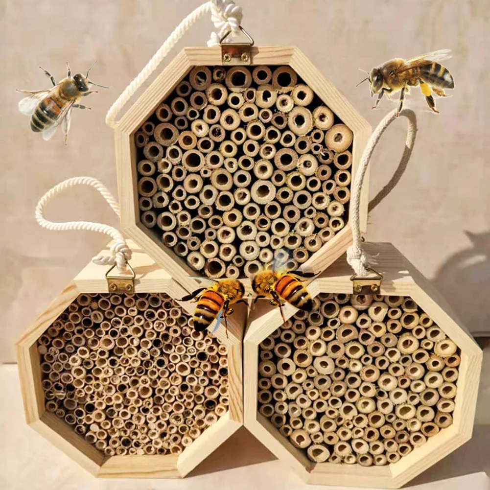 Handmade Natural Bamboo Bee Hive Mason Bee House Attracts Peaceful Pollinators for the Garden