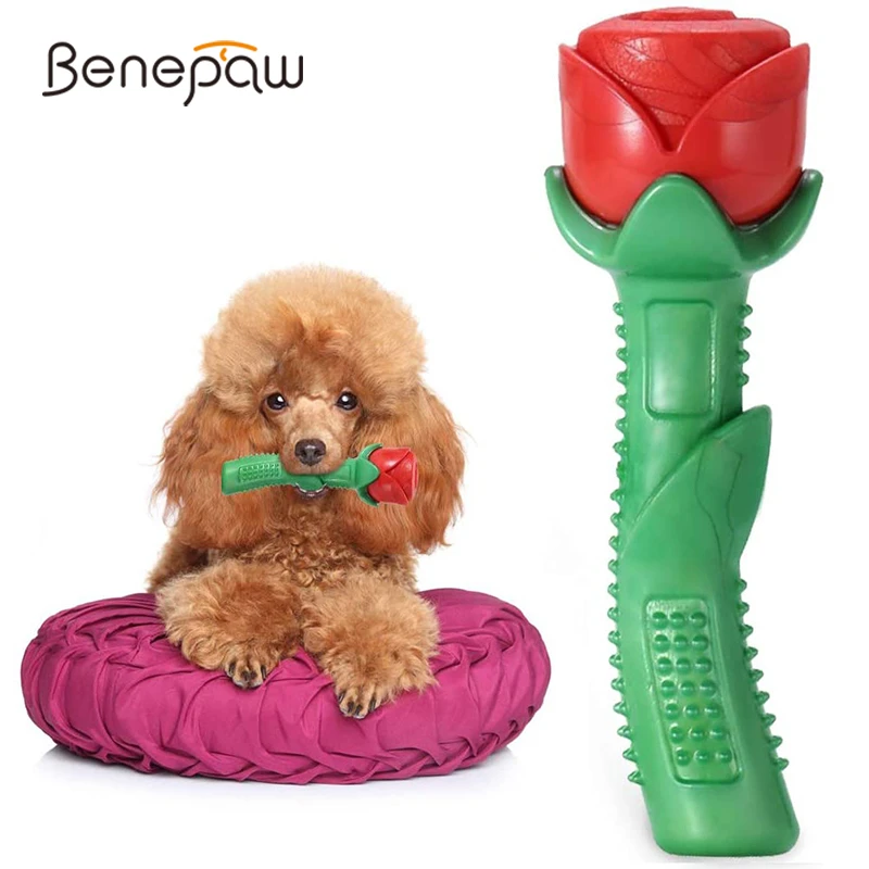 

Benepaw Durable Rose Shaped Small Medium Large Dog Chew Toys Attractive Floatable Nontoxic Pet Puppy Toys Cleaning Teeth Gift