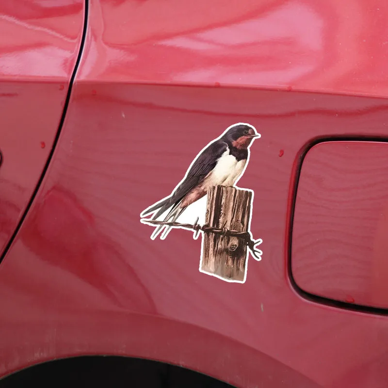IMG_1545 