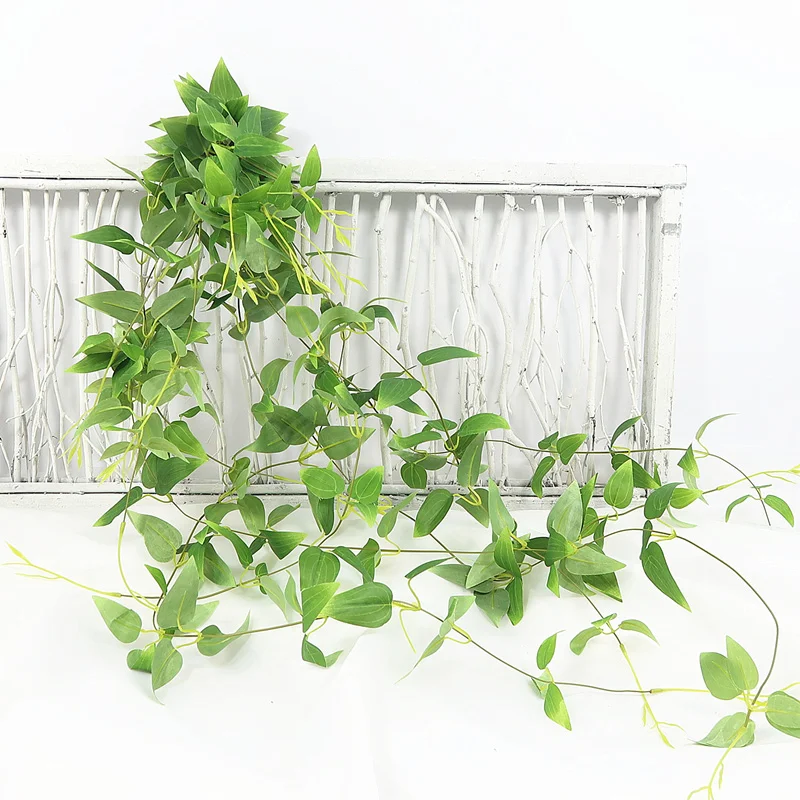 O1CN01C5vAk31fxw3f7skkZ_!!3538854074