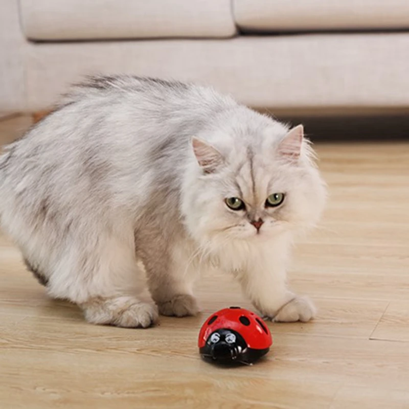 

Dog Cat Toys Super Fun Children Toy Running Oarworm Interactive Cute Toy AAA Battery-Operated Pet Supplier Catch Me if You Can