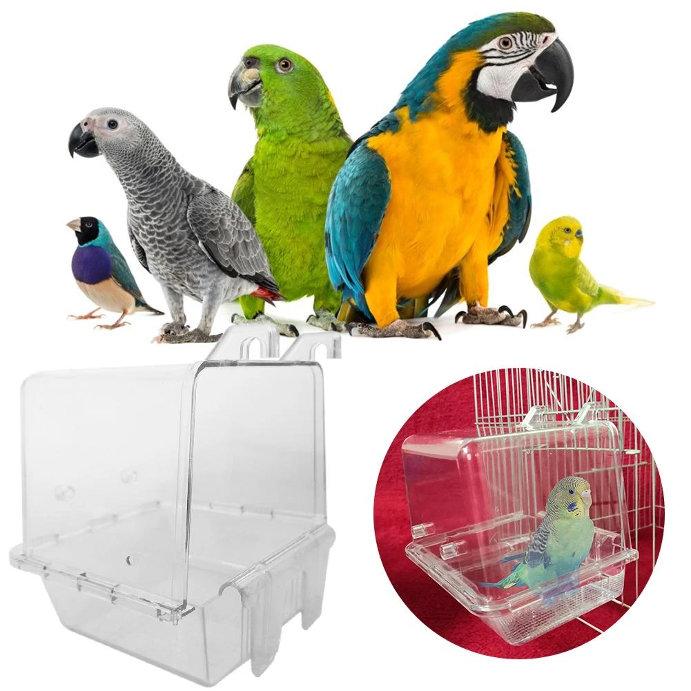 pet bird supply store