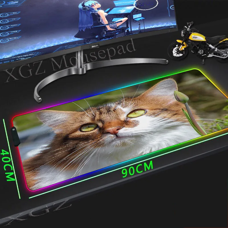 Большой коврик для мыши XGZ с милым котом на заказ RGB черный скоростной клавиатуры