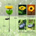 Sunflower-1