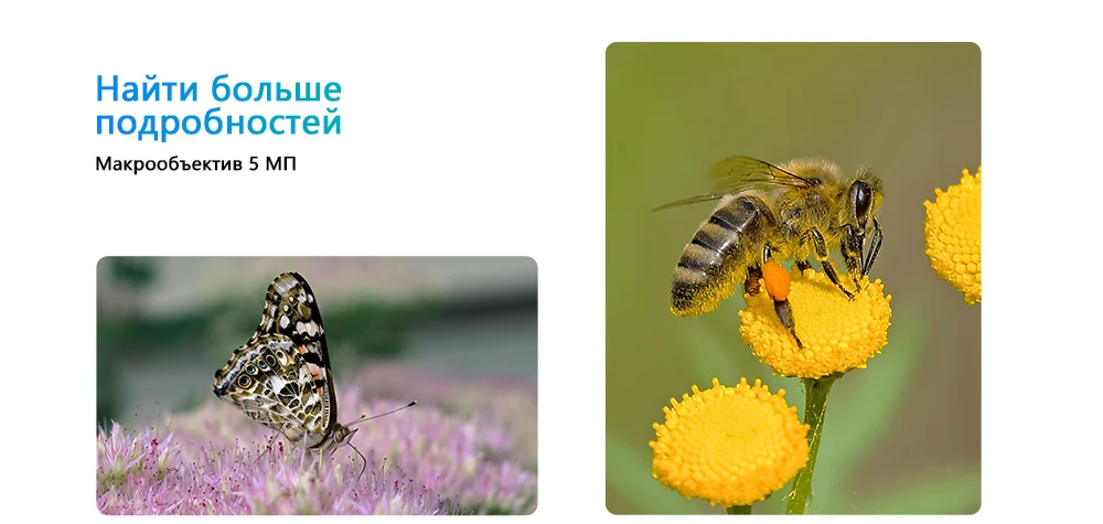 C30-长图.1000俄语_07