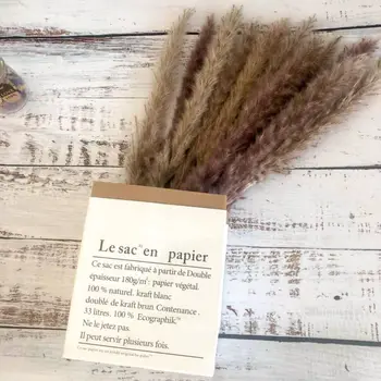 

Ins Style Pampas Small Reed Dried Flower Wholesale Natural Real Flower Decoration Shooting Props Living Room Floral