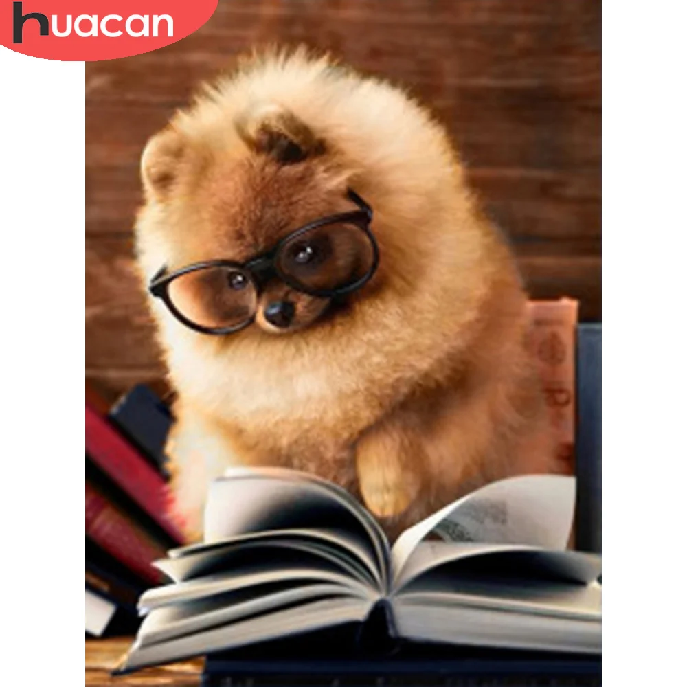 Книга животные. Книги про собак. Рассказ м зощенко очень умная лошадь. Хитрые и умные книга. Умные животные читать.