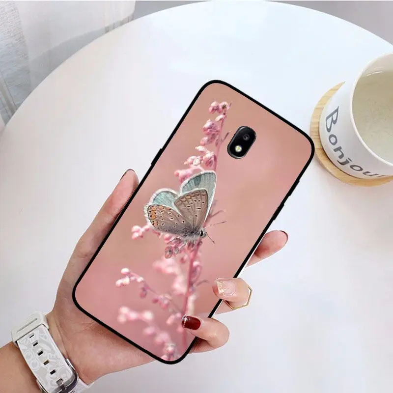 Red butterfly on white roses flower