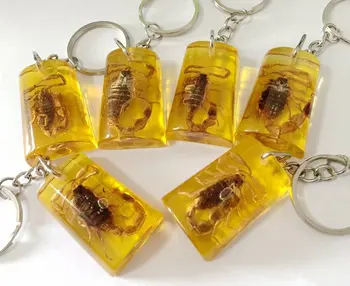 

12 pcs yellow color fashion scorpion New Insect Jewelry Taxidermy keychain