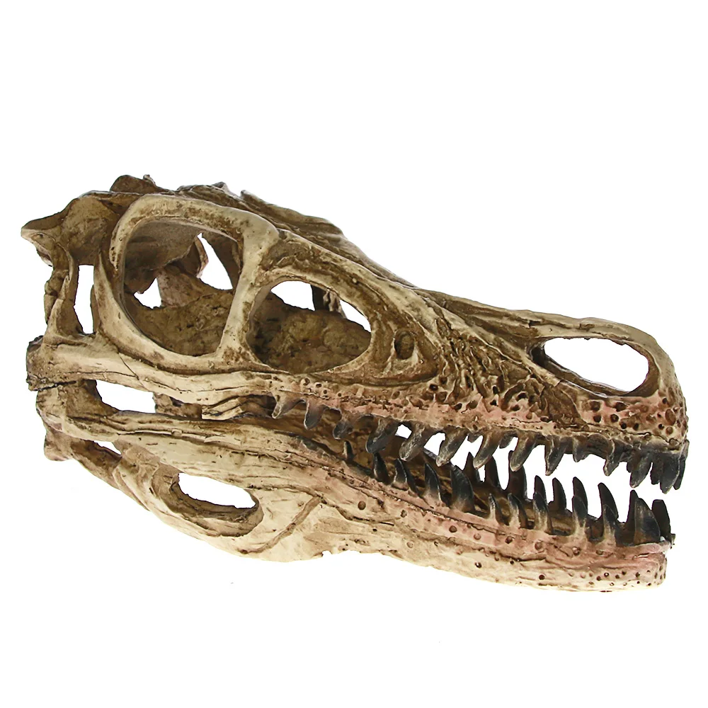 Высокоточная обучающая модель искусственная Velociraptor ископаемая смола Череп