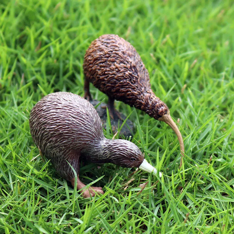 Children Model Solid Static Wild Animal World Birds Model Plastic Toys Birds Kiwi Decoration