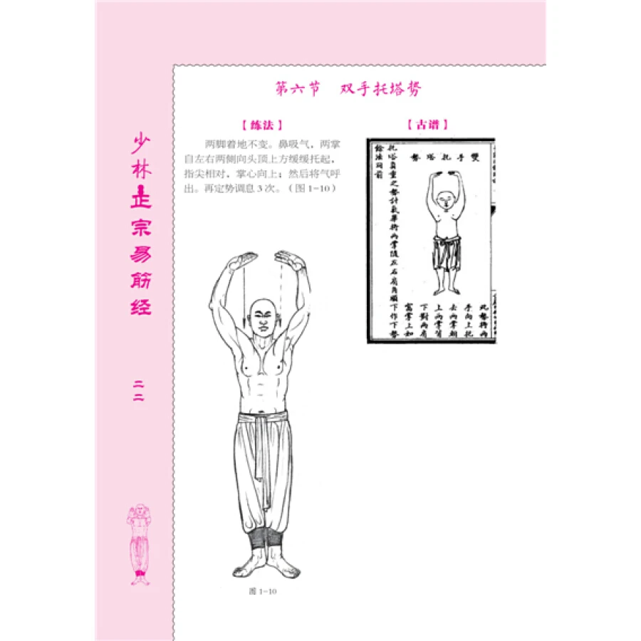 Рисунок 4 - Китайские книжки для боевых искусств Wushu