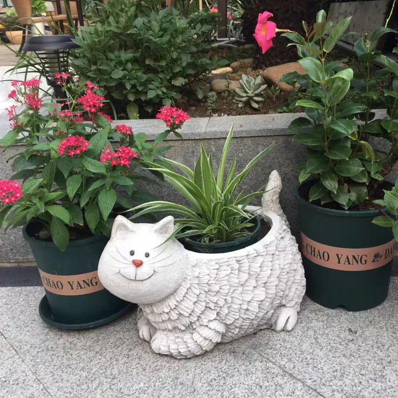 O1CN01auwADb1rwoZsKpzRj_!!3234415696